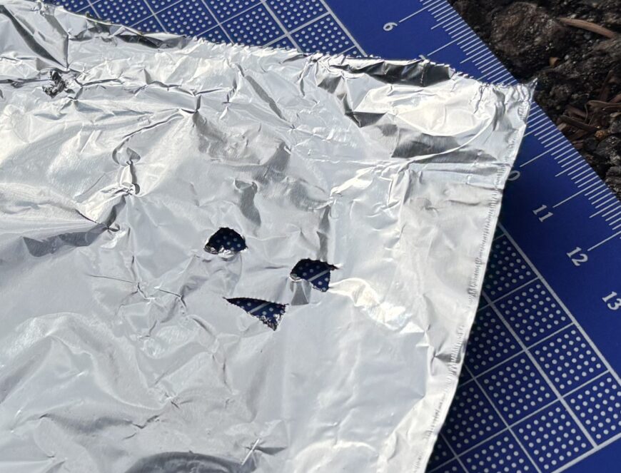 インゲンマメ＆ジャガイモ栽培日記